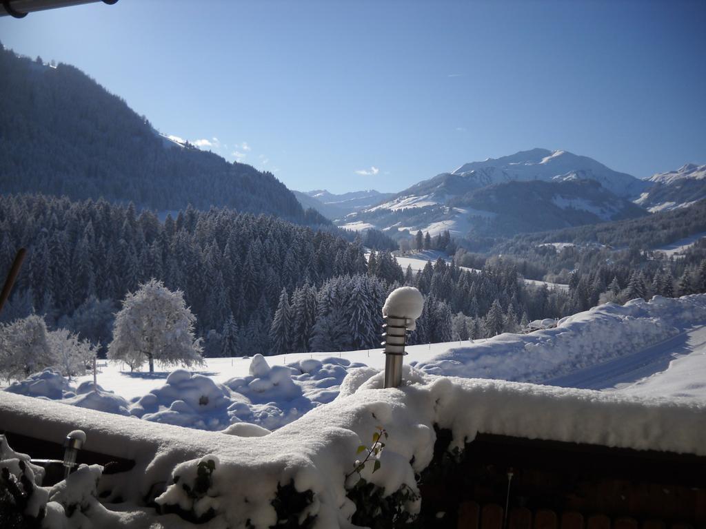 Apartment Schilcher Oberau Bagian luar foto